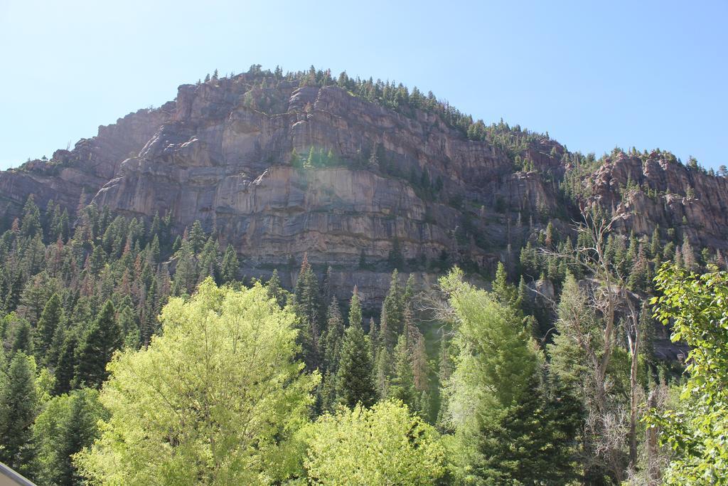 Black Bear Manor Ouray Exterior photo